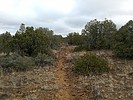 photo thumbnail #11