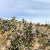 photo thumbnail #12