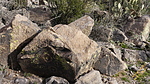 photo thumbnail #8