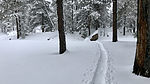 photo thumbnail #11