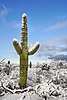 photo thumbnail #13