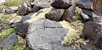 photo thumbnail #5