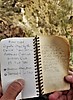 photo thumbnail #9