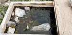 photo thumbnail #13