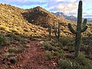 photo thumbnail #10