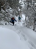 photo thumbnail #11