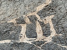 photo thumbnail #13