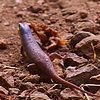 photo thumbnail #3