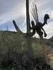 photo thumbnail #10