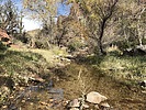 photo thumbnail #12