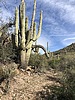 photo thumbnail #15