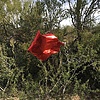 photo thumbnail #6