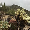 photo thumbnail #1