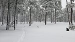 photo thumbnail #4