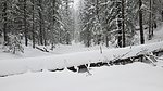 photo thumbnail #6