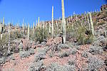 photo thumbnail #10