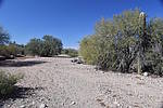 photo thumbnail #12