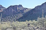 photo thumbnail #14