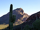 photo thumbnail #6