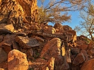 photo thumbnail #1