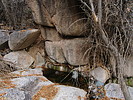 photo thumbnail #13