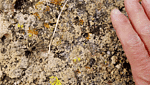 photo thumbnail #9
