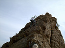 photo thumbnail #1