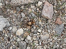 photo thumbnail #14