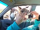 photo thumbnail #3