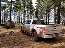 photo thumbnail #7