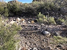 photo thumbnail #5
