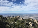 photo thumbnail #2