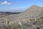 photo thumbnail #9
