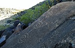 photo thumbnail #9