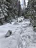 photo thumbnail #14