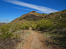 photo thumbnail #10