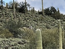 photo thumbnail #8
