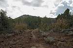 photo thumbnail #4