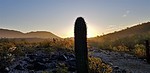photo thumbnail #3