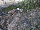 photo thumbnail #2