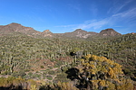 photo thumbnail #7