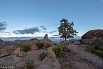 photo thumbnail #5