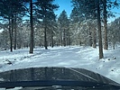 photo thumbnail #1