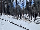 photo thumbnail #5