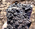 photo thumbnail #5
