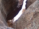 photo thumbnail #14