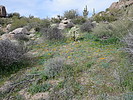 photo thumbnail #2