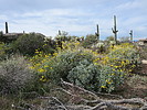 photo thumbnail #3