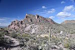 photo thumbnail #10