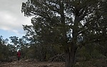 photo thumbnail #5